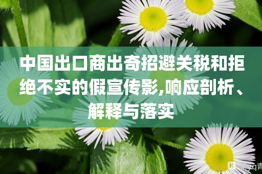 中國出口商出奇招避關(guān)稅和拒絕不實的假宣傳影,響應剖析、解釋與落實