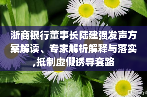 浙商銀行董事長(zhǎng)陸建強(qiáng)發(fā)聲方案解讀、專(zhuān)家解析解釋與落實(shí),抵制虛假誘導(dǎo)套路