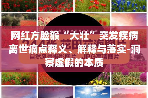 網(wǎng)紅方臉猴“大壯”突發(fā)疾病離世痛點釋義、解釋與落實-洞察虛假的本質(zhì)