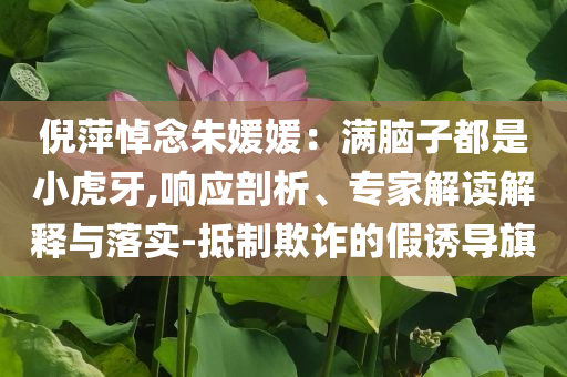 倪萍悼念朱媛媛：滿腦子都是小虎牙,響應(yīng)剖析、專(zhuān)家解讀解釋與落實(shí)-抵制欺詐的假誘導(dǎo)旗