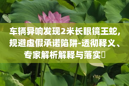 車輛異響發(fā)現(xiàn)2米長眼鏡王蛇,規(guī)避虛假承諾陷阱-透徹釋義、專家解析解釋與落實(shí)?