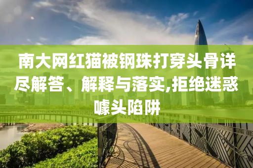 南大網(wǎng)紅貓被鋼珠打穿頭骨詳盡解答、解釋與落實(shí),拒絕迷惑噱頭陷阱
