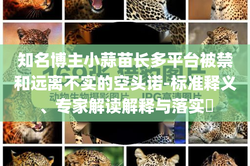 知名博主小蒜苗長多平臺被禁和遠(yuǎn)離不實(shí)的空頭諾-標(biāo)準(zhǔn)釋義、專家解讀解釋與落實(shí)?