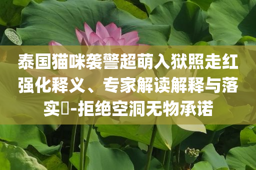泰國貓咪襲警超萌入獄照走紅強(qiáng)化釋義、專家解讀解釋與落實(shí)?-拒絕空洞無物承諾