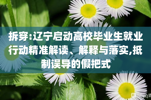 拆穿:遼寧啟動高校畢業(yè)生就業(yè)行動精準(zhǔn)解讀、解釋與落實,抵制誤導(dǎo)的假把式