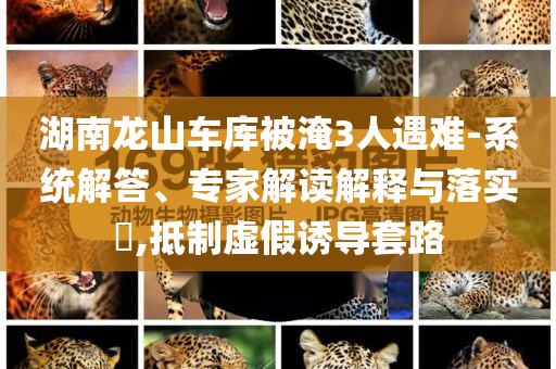 湖南龍山車庫(kù)被淹3人遇難-系統(tǒng)解答、專家解讀解釋與落實(shí)?,抵制虛假誘導(dǎo)套路