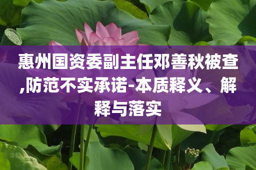惠州國資委副主任鄧善秋被查,防范不實承諾-本質釋義、解釋與落實