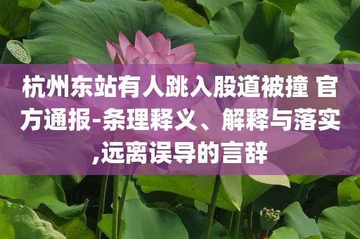 杭州東站有人跳入股道被撞 官方通報(bào)-條理釋義、解釋與落實(shí),遠(yuǎn)離誤導(dǎo)的言辭