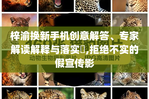 梓渝換新手機(jī)創(chuàng)意解答、專家解讀解釋與落實(shí)?,拒絕不實(shí)的假宣傳影