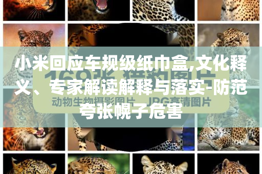 小米回應(yīng)車規(guī)級紙巾盒,文化釋義、專家解讀解釋與落實-防范夸張幌子危害