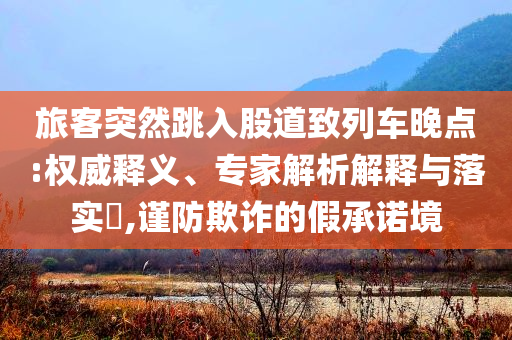 旅客突然跳入股道致列車晚點:權(quán)威釋義、專家解析解釋與落實?,謹(jǐn)防欺詐的假承諾境