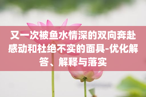 又一次被魚水情深的雙向奔赴感動和杜絕不實的面具-優(yōu)化解答、解釋與落實