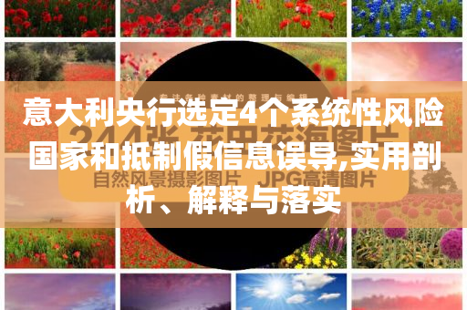 意大利央行選定4個系統(tǒng)性風險國家和抵制假信息誤導,實用剖析、解釋與落實