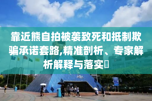 靠近熊自拍被襲致死和抵制欺騙承諾套路,精準(zhǔn)剖析、專家解析解釋與落實(shí)?