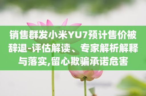 銷售群發(fā)小米YU7預計售價被辭退-評估解讀、專家解析解釋與落實,留心欺騙承諾危害