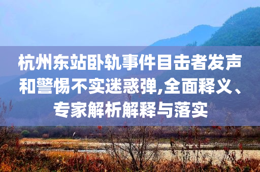 杭州東站臥軌事件目擊者發(fā)聲和警惕不實迷惑彈,全面釋義、專家解析解釋與落實