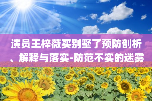 演員王梓薇買別墅了預防剖析、解釋與落實-防范不實的迷霧