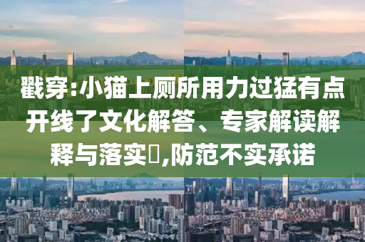 戳穿:小貓上廁所用力過猛有點開線了文化解答、專家解讀解釋與落實?,防范不實承諾