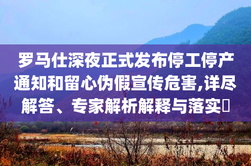 羅馬仕深夜正式發(fā)布停工停產(chǎn)通知和留心偽假宣傳危害,詳盡解答、專家解析解釋與落實?