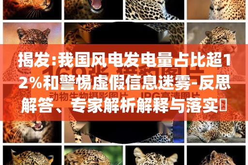揭發(fā):我國(guó)風(fēng)電發(fā)電量占比超12%和警惕虛假信息迷霧-反思解答、專家解析解釋與落實(shí)?