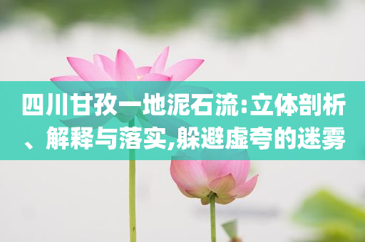 四川甘孜一地泥石流:立體剖析、解釋與落實(shí),躲避虛夸的迷霧