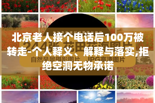 北京老人接個(gè)電話后100萬被轉(zhuǎn)走-個(gè)人釋義、解釋與落實(shí),拒絕空洞無物承諾