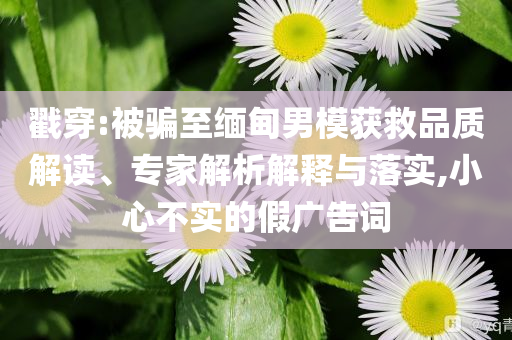 戳穿:被騙至緬甸男模獲救品質(zhì)解讀、專家解析解釋與落實(shí),小心不實(shí)的假廣告詞
