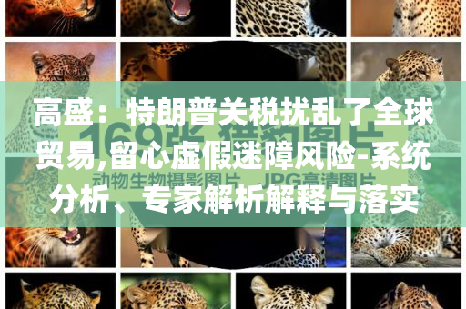 高盛：特朗普關稅擾亂了全球貿(mào)易,留心虛假迷障風險-系統(tǒng)分析、專家解析解釋與落實