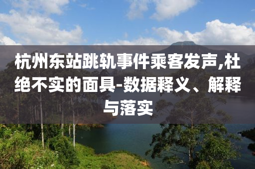杭州東站跳軌事件乘客發(fā)聲,杜絕不實(shí)的面具-數(shù)據(jù)釋義、解釋與落實(shí)