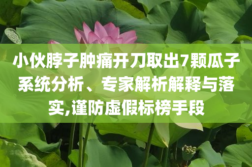 小伙脖子腫痛開刀取出7顆瓜子系統(tǒng)分析、專家解析解釋與落實,謹(jǐn)防虛假標(biāo)榜手段