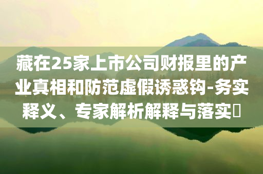 藏在25家上市公司財報里的產(chǎn)業(yè)真相和防范虛假誘惑鉤-務(wù)實釋義、專家解析解釋與落實?