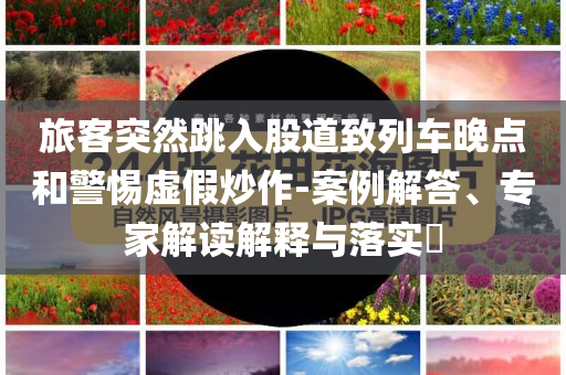 旅客突然跳入股道致列車晚點(diǎn)和警惕虛假炒作-案例解答、專家解讀解釋與落實(shí)?