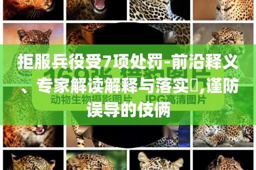 拒服兵役受7項處罰-前沿釋義、專家解讀解釋與落實?,謹(jǐn)防誤導(dǎo)的伎倆