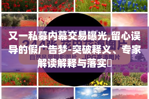 又一私募內(nèi)幕交易曝光,留心誤導(dǎo)的假?gòu)V告夢(mèng)-突破釋義、專(zhuān)家解讀解釋與落實(shí)?
