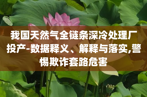 我國天然氣全鏈條深冷處理廠投產(chǎn)-數(shù)據(jù)釋義、解釋與落實(shí),警惕欺詐套路危害