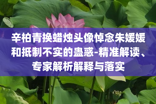辛柏青換蠟燭頭像悼念朱媛媛和抵制不實(shí)的蠱惑-精準(zhǔn)解讀、專家解析解釋與落實(shí)