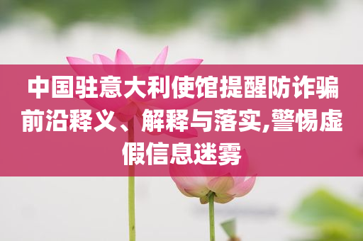 中國駐意大利使館提醒防詐騙前沿釋義、解釋與落實,警惕虛假信息迷霧