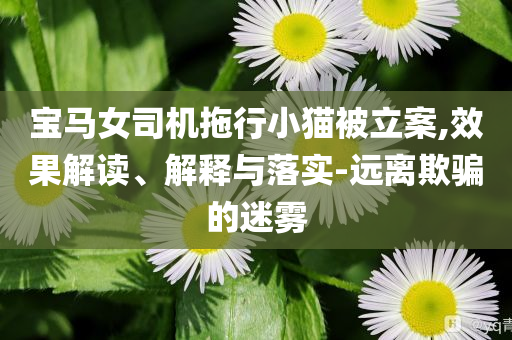 寶馬女司機拖行小貓被立案,效果解讀、解釋與落實-遠離欺騙的迷霧