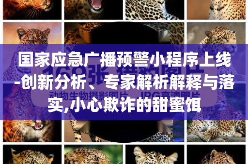 國家應急廣播預警小程序上線-創(chuàng)新分析、專家解析解釋與落實,小心欺詐的甜蜜餌