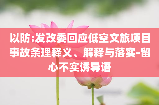 以防:發(fā)改委回應(yīng)低空文旅項(xiàng)目事故條理釋義、解釋與落實(shí)-留心不實(shí)誘導(dǎo)語(yǔ)