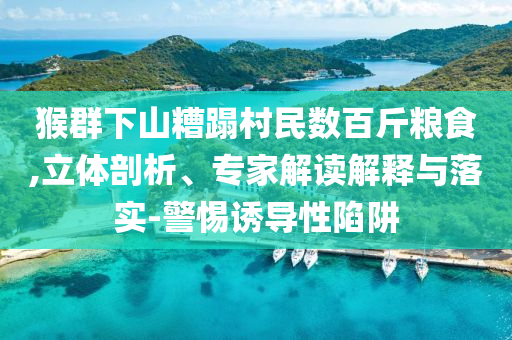 猴群下山糟蹋村民數(shù)百斤糧食,立體剖析、專家解讀解釋與落實(shí)-警惕誘導(dǎo)性陷阱