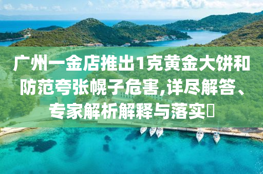 廣州一金店推出1克黃金大餅和防范夸張幌子危害,詳盡解答、專家解析解釋與落實?
