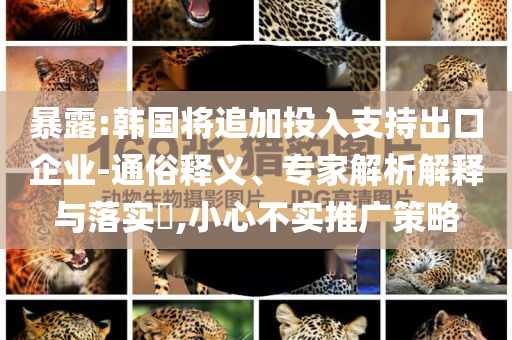 暴露:韓國將追加投入支持出口企業(yè)-通俗釋義、專家解析解釋與落實?,小心不實推廣策略