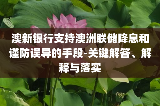 澳新銀行支持澳洲聯(lián)儲(chǔ)降息和謹(jǐn)防誤導(dǎo)的手段-關(guān)鍵解答、解釋與落實(shí)