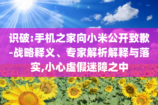 識(shí)破:手機(jī)之家向小米公開(kāi)致歉-戰(zhàn)略釋義、專家解析解釋與落實(shí),小心虛假迷障之中