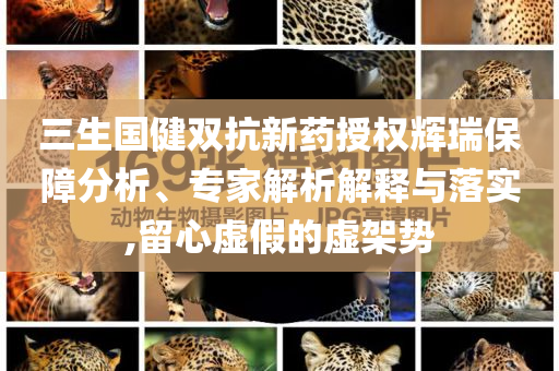 三生國健雙抗新藥授權(quán)輝瑞保障分析、專家解析解釋與落實,留心虛假的虛架勢
