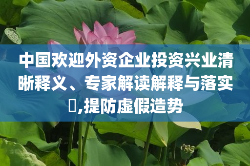 中國歡迎外資企業(yè)投資興業(yè)清晰釋義、專家解讀解釋與落實(shí)?,提防虛假造勢