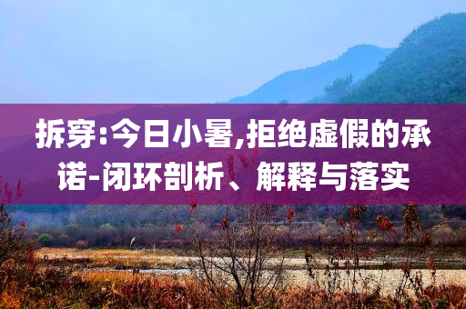 拆穿:今日小暑,拒絕虛假的承諾-閉環(huán)剖析、解釋與落實