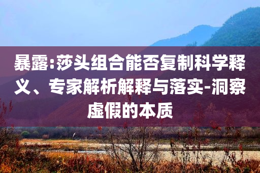 暴露:莎頭組合能否復(fù)制科學(xué)釋義、專家解析解釋與落實(shí)-洞察虛假的本質(zhì)