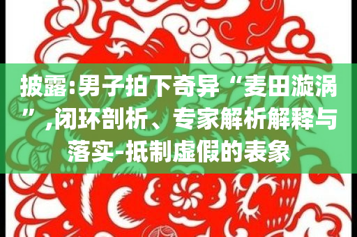 披露:男子拍下奇異“麥田漩渦”,閉環(huán)剖析、專家解析解釋與落實(shí)-抵制虛假的表象